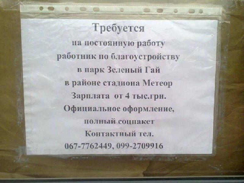 В Днепре взялись за реконструкцию парка «Зеленый гай» 12