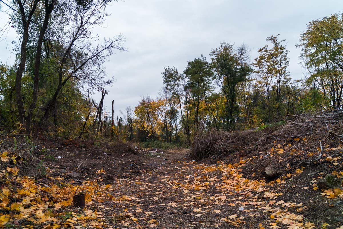 В Днепре взялись за реконструкцию парка «Зеленый гай» 13