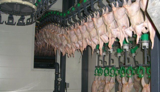 Как пытались оштрафовать за вредные стоки «Агро-Овен» 2