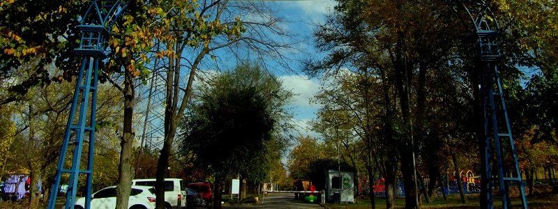 Реконструкция Молодежного парка. Тендерные чудеса