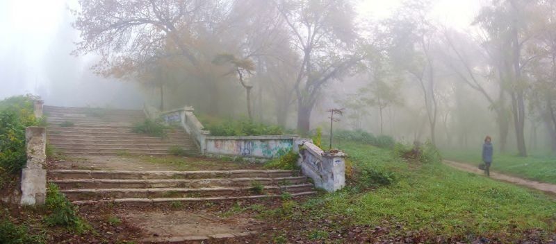 Реконструкция Молодежного парка. Тендерные чудеса 2