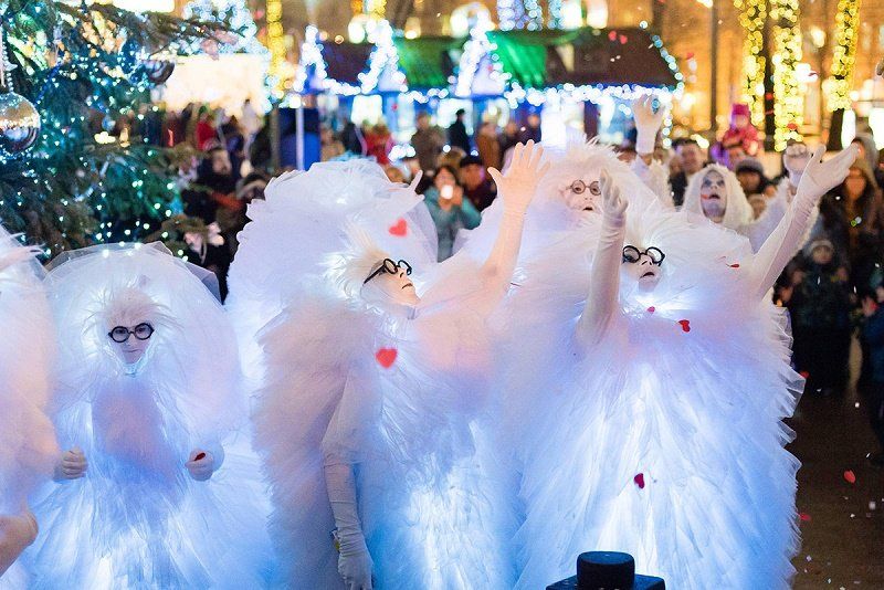 Кто и за сколько организует зимнюю сказку в парке Зеленый гай в Днепре 1