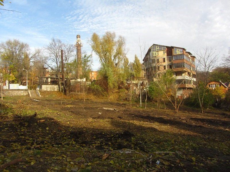 Кто и зачем рубит деревья в парке им. Володи Дубинина 4