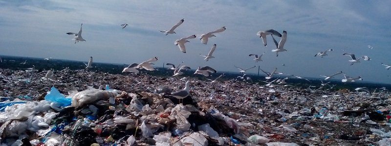 Как будут защищать экологию в 2018 году