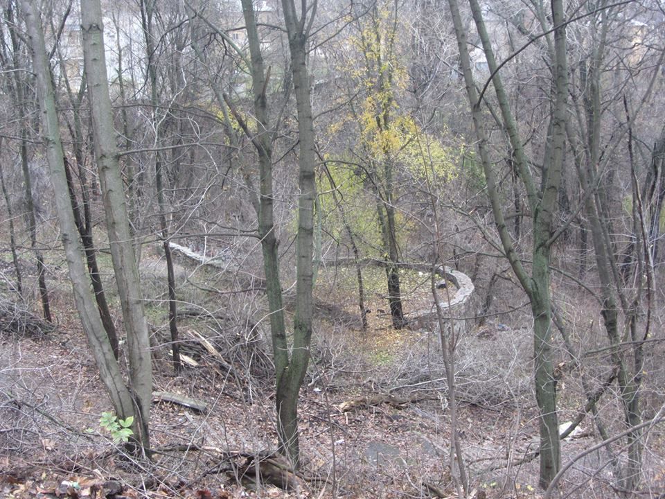 Как идет реконструкция центральной аллеи парка Зеленый гай 3