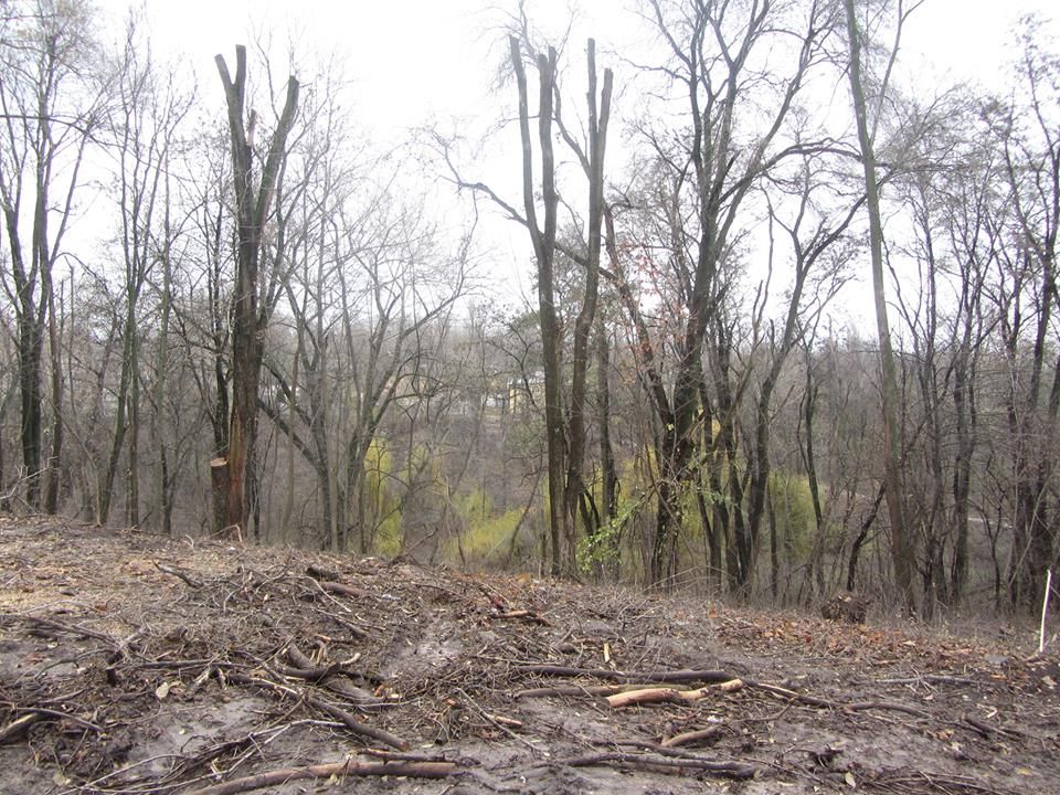 Как идет реконструкция центральной аллеи парка Зеленый гай 5