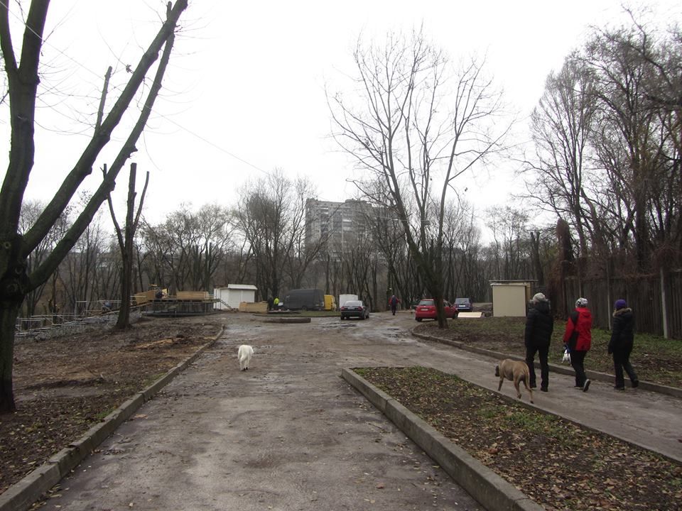 Как идет реконструкция центральной аллеи парка Зеленый гай 6