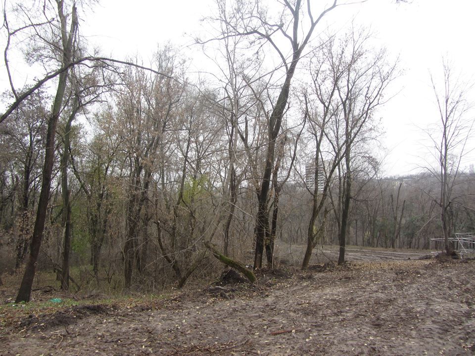 Как идет реконструкция центральной аллеи парка Зеленый гай 8