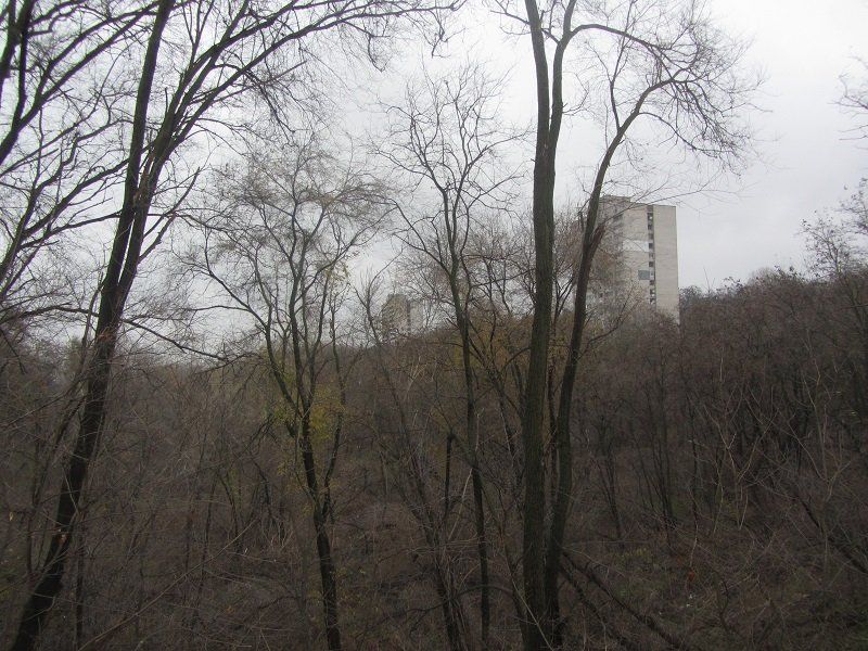 Как идет реконструкция центральной аллеи парка Зеленый гай 11