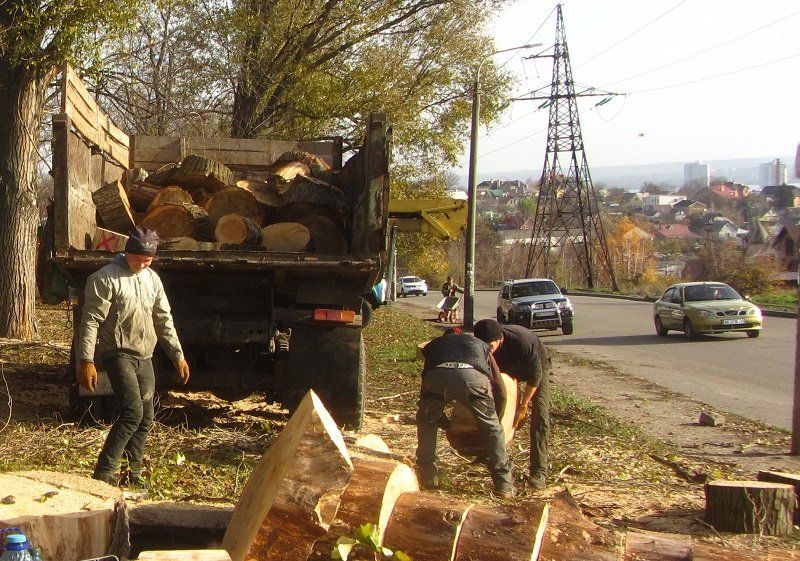 Три парка Днепра ждет большая реконструкция 4