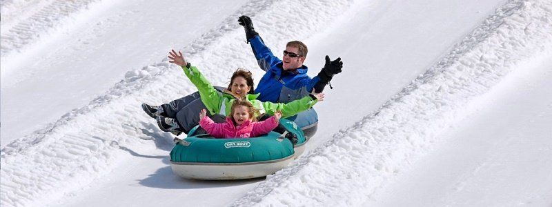 Как отметят Новый год в парках Дубинина, Писаржевского и Зелений Гай 3