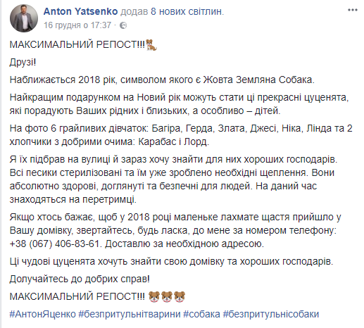Притулок для тварин в Умані коштуватиме вже 7 млн гривень 1