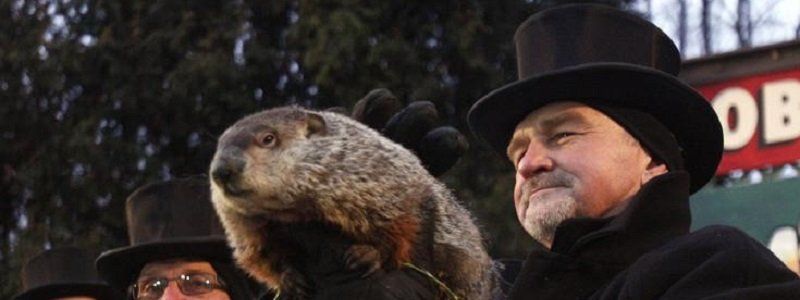 В горсовете Днепра отметят День сурка?