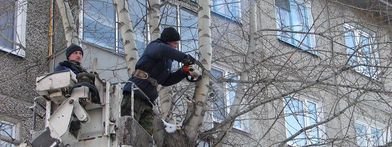 Міськзеленбуд арендует спецтехнику и увеличивает число подрядчиков