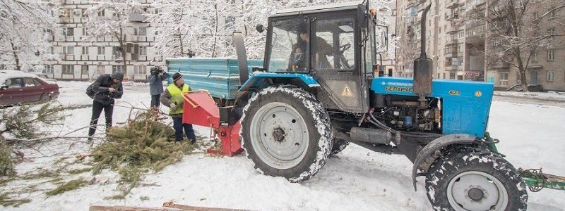 У Дніпрі триває утилізація новорічних ялинок