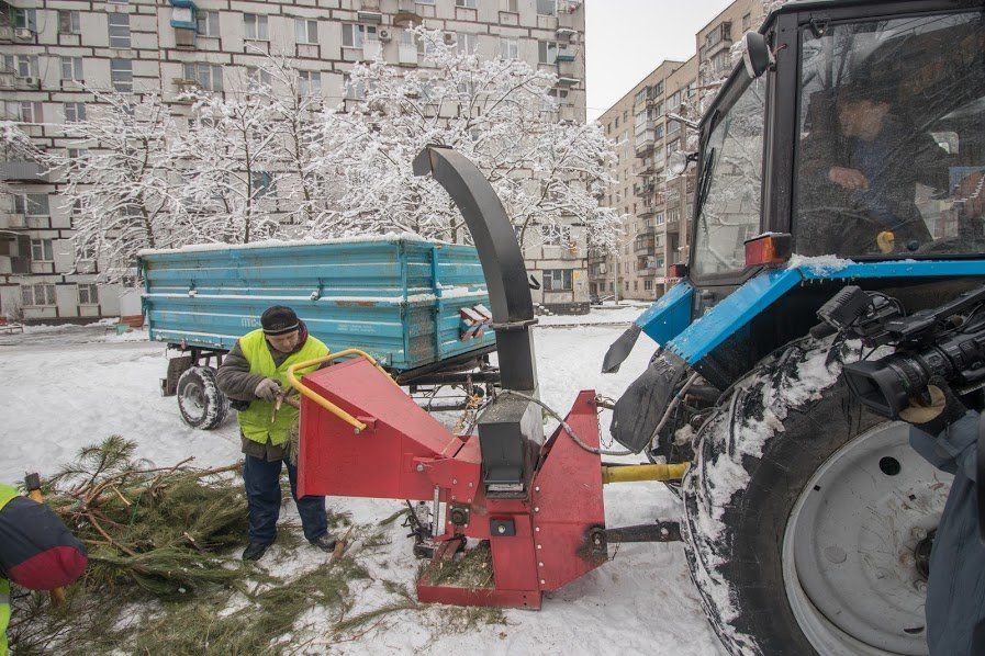 У Дніпрі триває утилізація новорічних ялинок 2