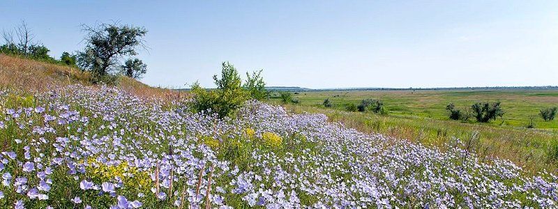 Департамент экологии ОГА не знает о существовании Марьяновско-Кулебовского заказника