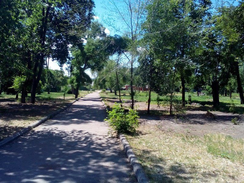 В Днепре собираются привести в порядок Амурский парк 7