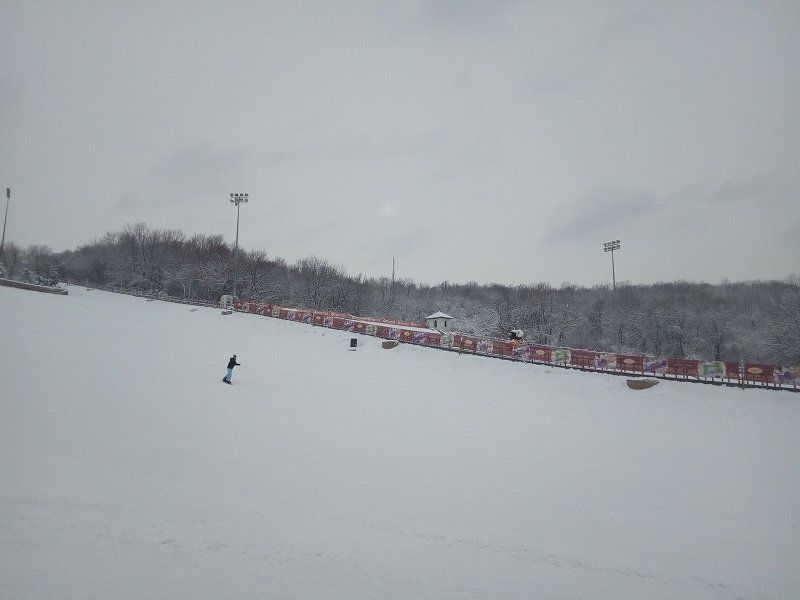 Вырубка леса за «Лавиной»: продолжение истории 2