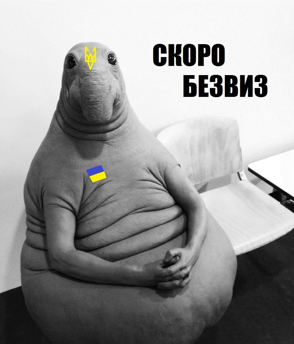 Хайпы 2017: что обсуждали, а что не обсуждали в соцсетях 16