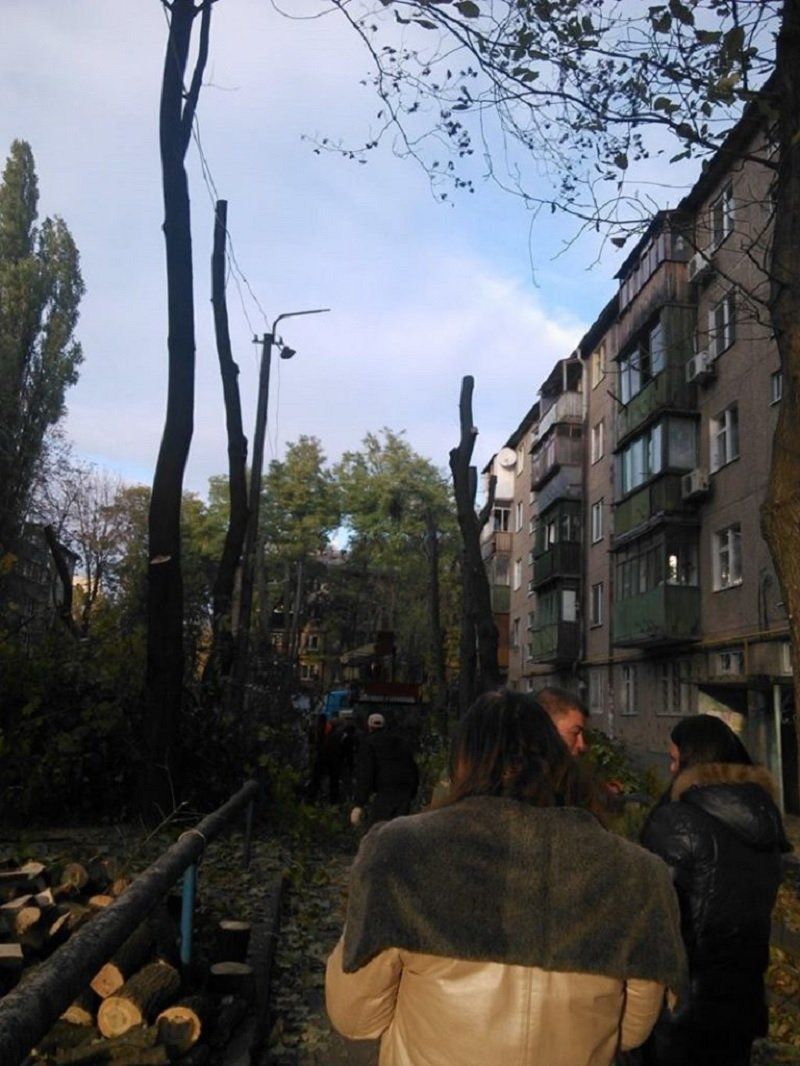 Как в облсовете деревья спасали 4