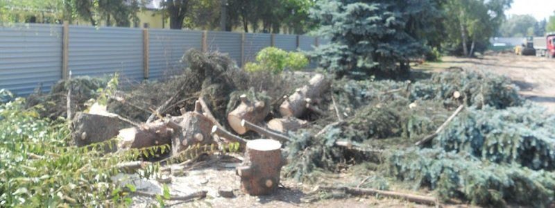 Как в облсовете деревья спасали 7