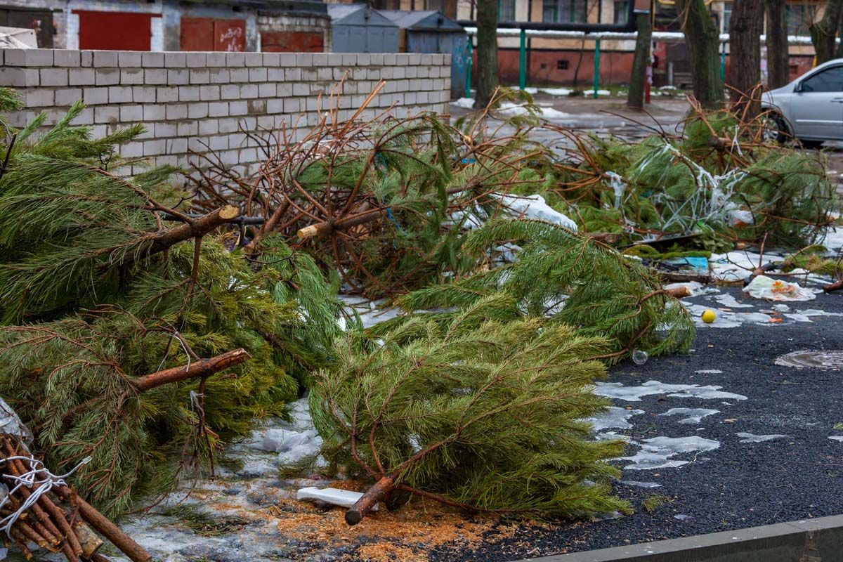 Почему Днепр никак не может купить мусоровозы и контейнеры для мусора 4