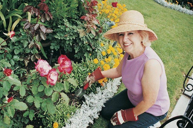 Интернет, соцсети и блогерство. Чему еще научит пожилых днепрян Университет третьего возраста 4