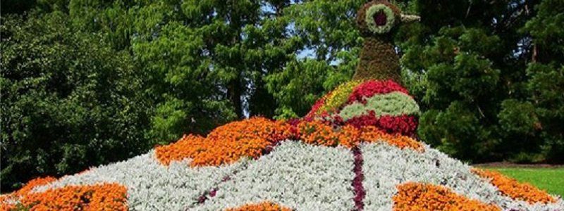 Как озеленят Днепр в 2018 году