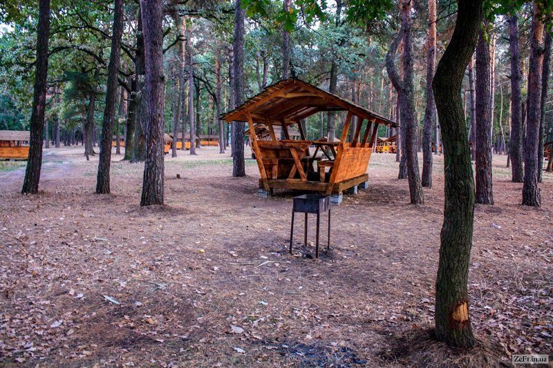 Парки Киева ждет капитальный ремонт: какие, за сколько и что изменится 7