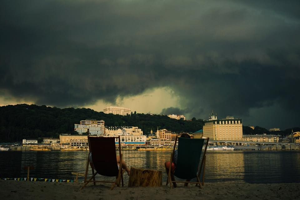 Как разорить «Скворечник» или аренда деревьев Киева 9