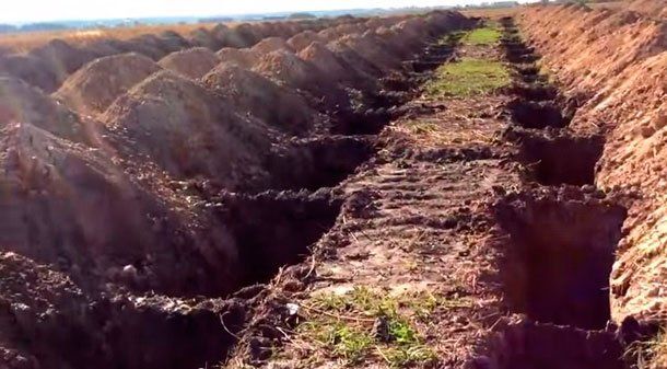 В Днепре подсчитают землю под старыми кладбищами 2