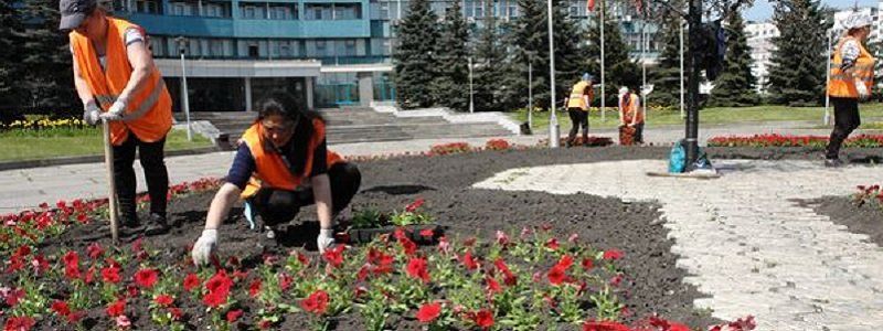 Сколько стоят клумбы в городских парках Днепра