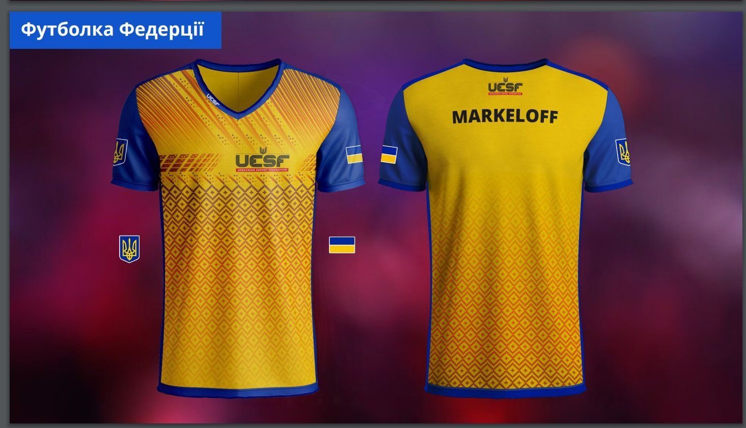 Федерация киберспорта покоряет Украину. Начало - в Днепре 9