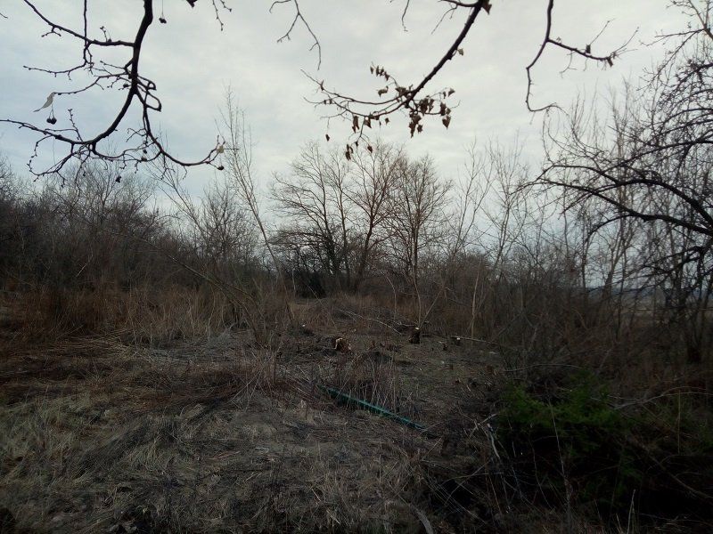 Кладбища в Таромском: передел бизнеса или дорогие похороны 9