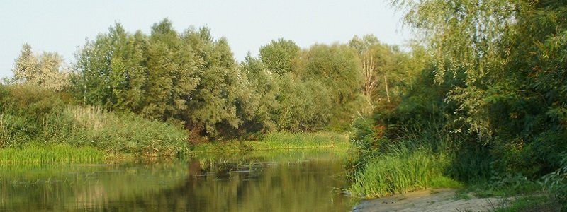 В Днепропетровской области начинают чистить Орель