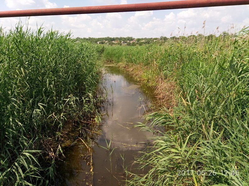 Возрождение рек на Днепропетровщине: что и как расчистят в этом году 4