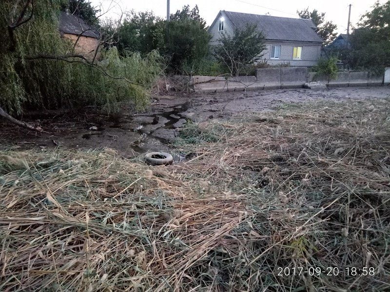 Возрождение рек на Днепропетровщине: что и как расчистят в этом году 14