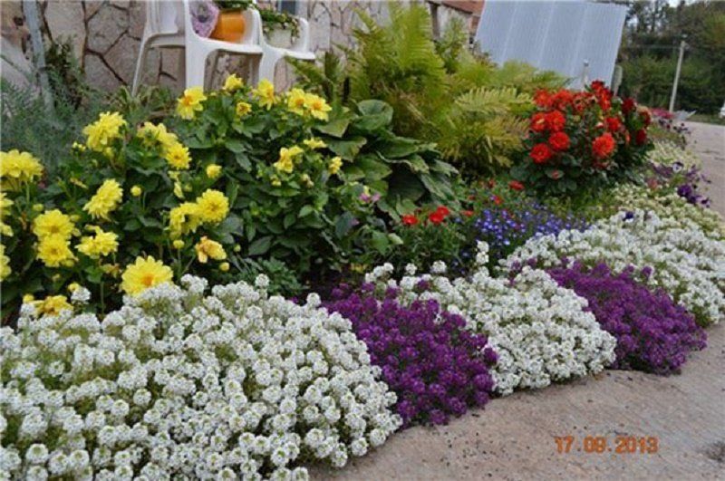 За клумбы в трех парка Днепр готов заплатить миллион гривень 2