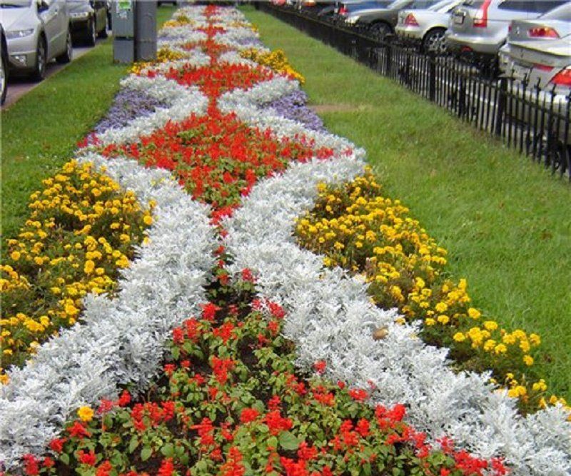 За клумбы в трех парка Днепр готов заплатить миллион гривень 7