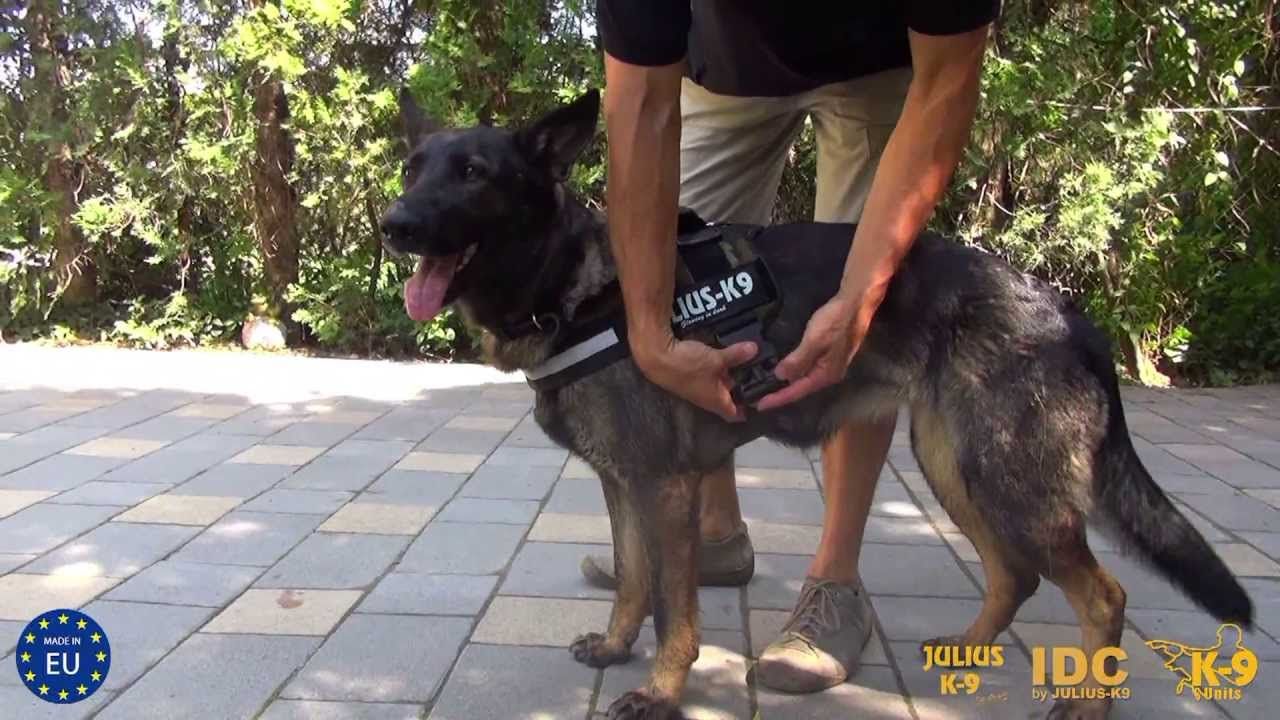 Как власти Киева борются с криминалом и сколько это стоит бюджету столицы 11