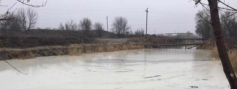 Поможет ли высадка 150 прутиков под эгидой ДТЭК легче дышать жителям Днепра 5