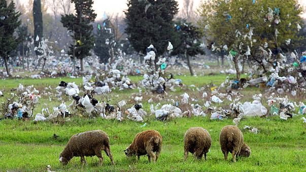 Есть ли шанс у Днепра избавиться от полиэтиленовых пакетов 1