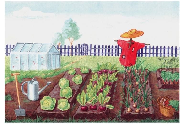 Борщ в Украине становится предметом роскоши 2