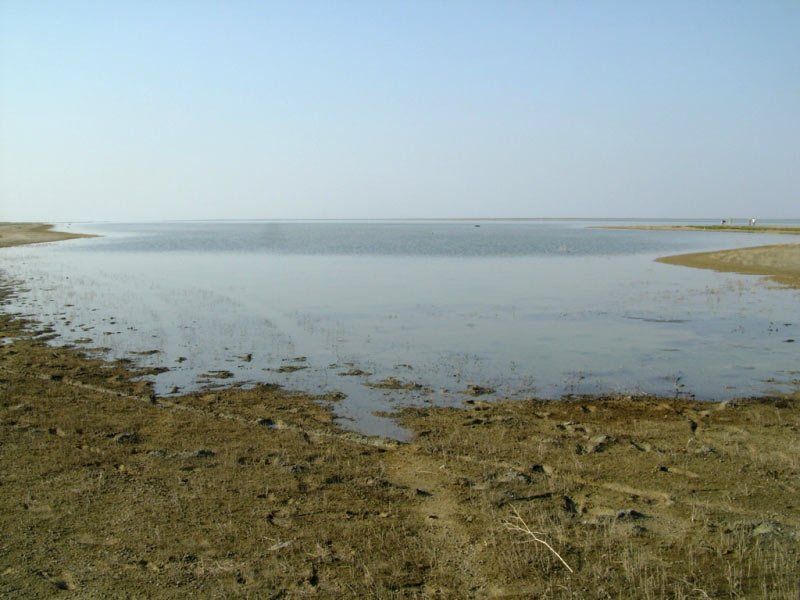 Кирилловка – курорт или зона экологического бедствия 7