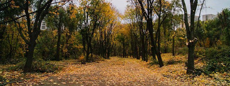 Капремонт центральной аллеи парка Зелений Гай в Днепре подорожал на 8 млн грн
