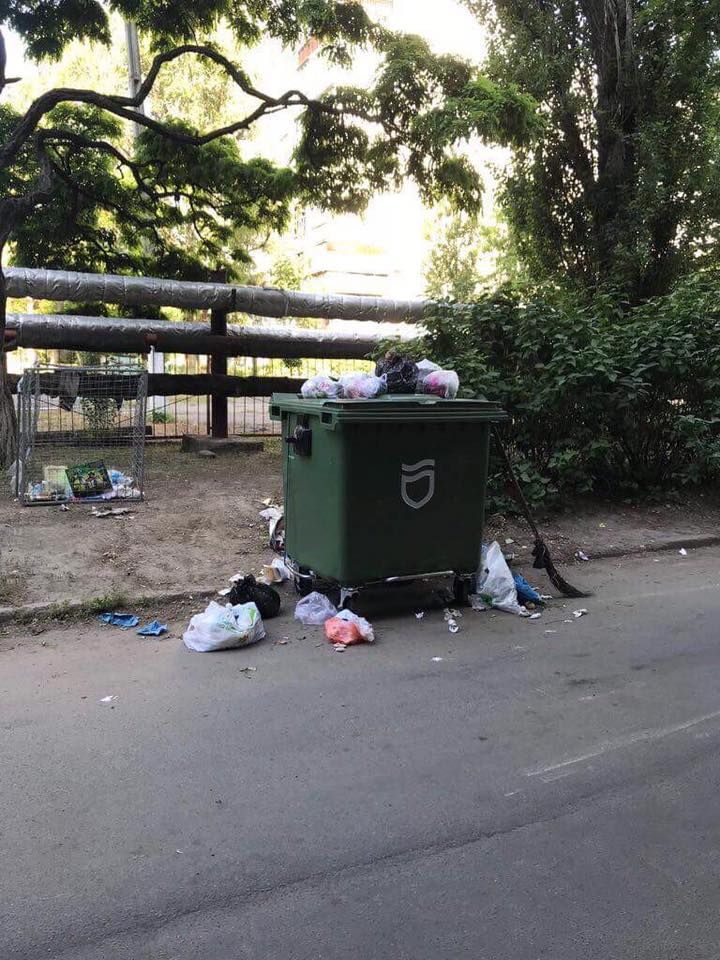 Сможет ли Днепр решить проблему мусора во дворах и на улицах 11