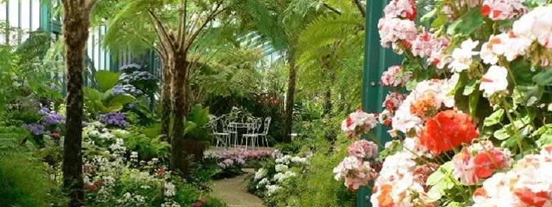 На Днепропетровщине восстановят оранжерею за 4,5 млн грн