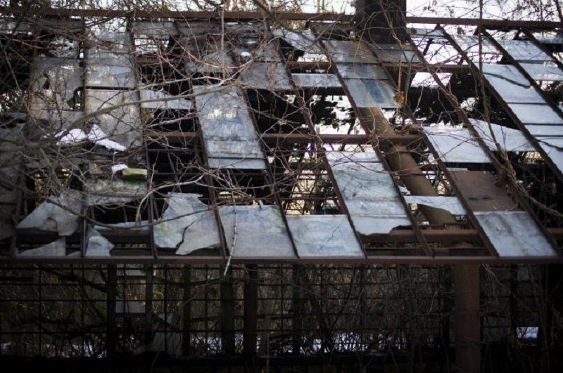 На Днепропетровщине восстановят оранжерею за 4,5 млн грн 1