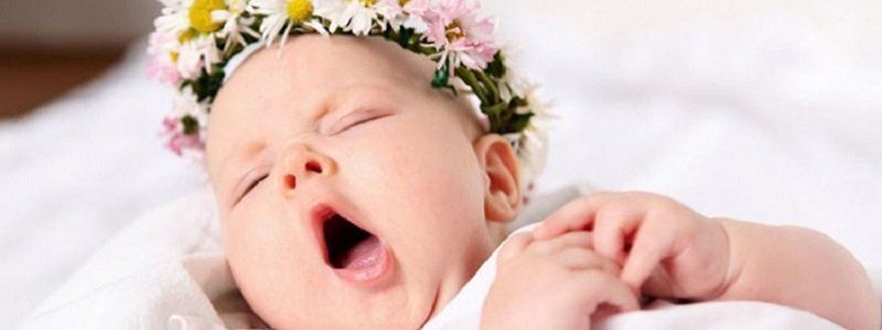 Как и где зарегистрировать новорожденного ребенка